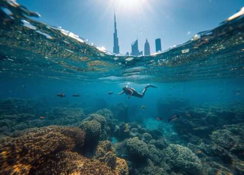 Deep Dive Pool Dubai