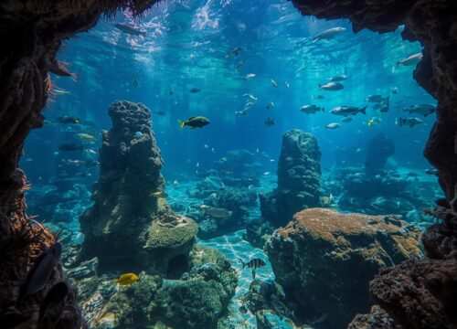 Dubai Aquarium & Underwater Zoo