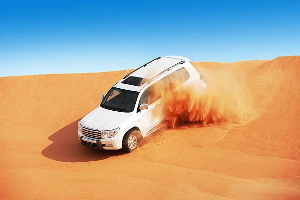 Desert Safari